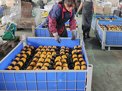 Polyurethane Tread Manual Pallet Jack Wheels Manufacturer